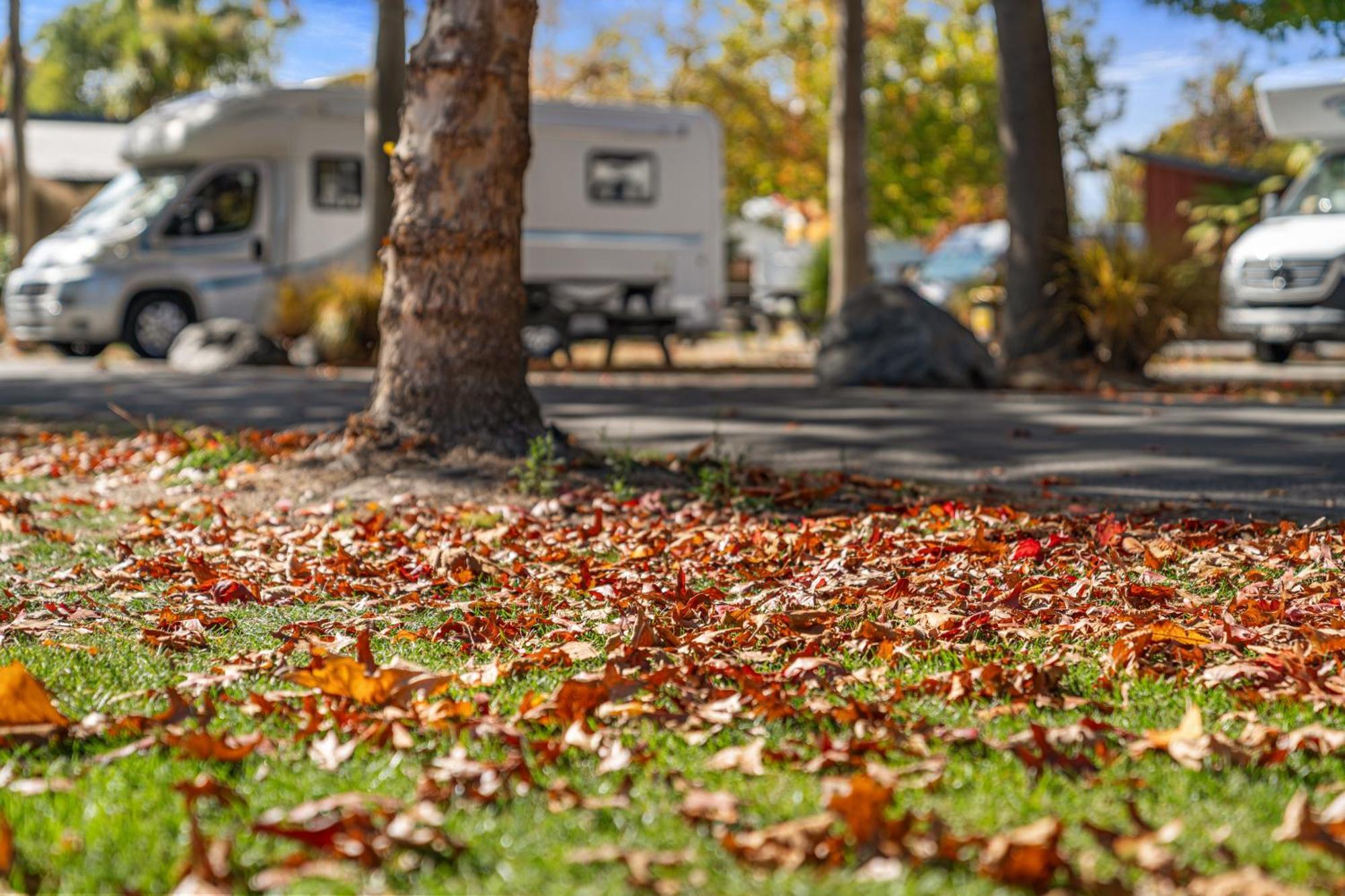 Tasman Holiday Parks - كريستتشيرش المظهر الخارجي الصورة Autumn leaves on the ground